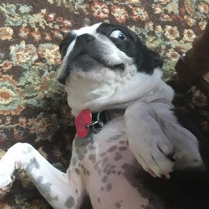 Meet your Posher, Shea